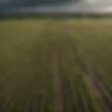 Aerial view of agricultural fields showcasing diverse crops under varying weather conditions