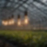 Low wattage heat bulbs in a greenhouse environment