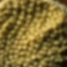 Close-up view of Maxicrop seaweed powder's texture