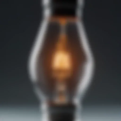 An intricate design of a metal halide bulb showcasing its inner components