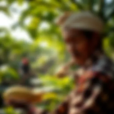 Farmers applying natural solutions in papaya cultivation
