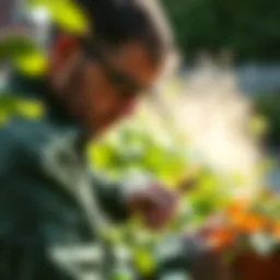 Close-up of a pest control technician inspecting a garden for pests
