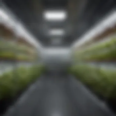 Innovative Design of Climate-Controlled Grow Box Overview of a modern climate-controlled grow box showcasing its intricate design and technology.