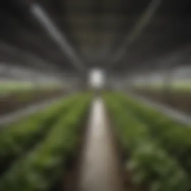 Sustainable Approaches to Modern Agriculture Sustainable practices illustrated through the use of renewable energy sources in agriculture.