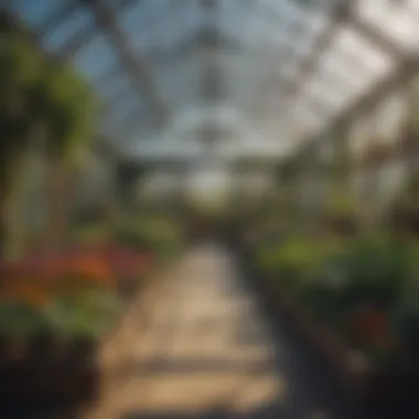 Diverse Greenhouse Designs A variety of greenhouse types showcasing different styles and shapes.
