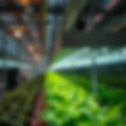 NextLight Pro Series grow light fixture in a modern greenhouse