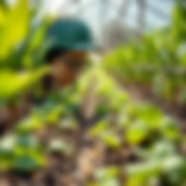 Innovative farming techniques