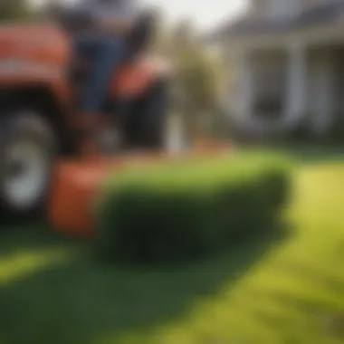 Bermuda Grass Seed Spreader in Action Bermuda grass seed spreader in action on a lawn