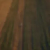 Aerial view of agricultural fields with diverse crops