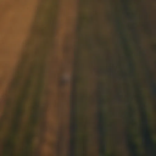 Aerial view of agricultural fields with diverse crops