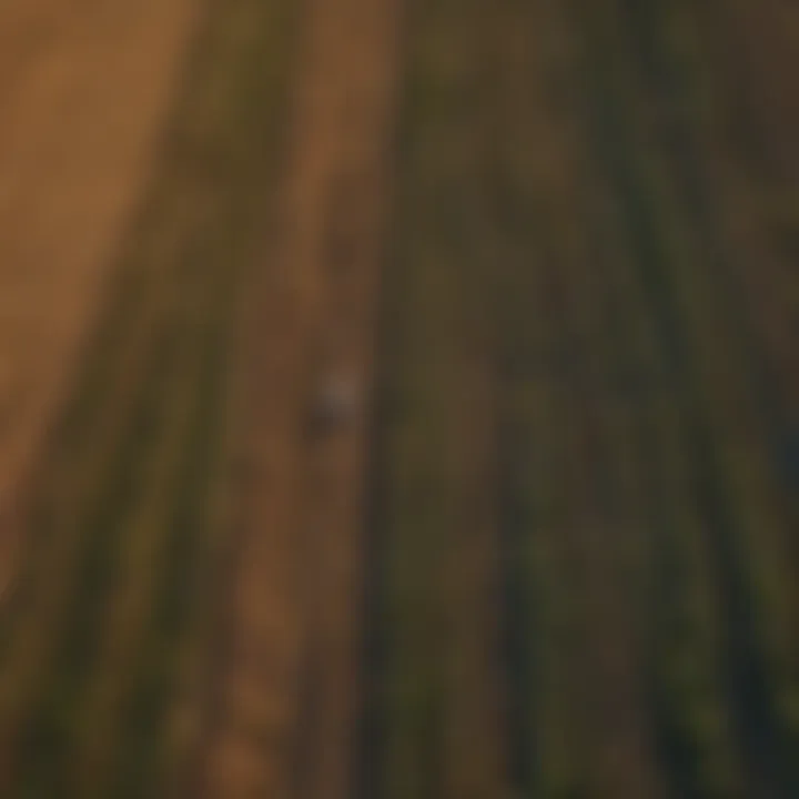 Aerial view of agricultural fields with diverse crops