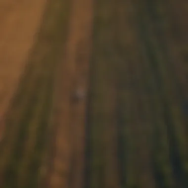 Aerial View of Agricultural Fields Aerial view of agricultural fields with diverse crops