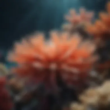 Vibrant Marine Life in Coral Reefs Coral reef ecosystem showcasing marine life