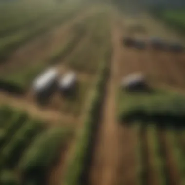 Graphic showcasing the intersection of public health and agricultural strategies
