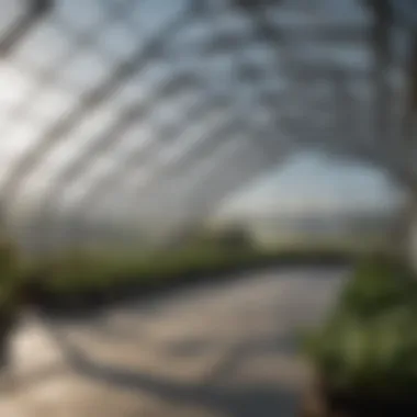Highlighting the Durability of Quality Greenhouse Covers Durable greenhouse cover showcasing effective protection