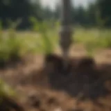 Soil examination tools for nutrient analysis