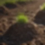 Different soil types suitable for grass growth