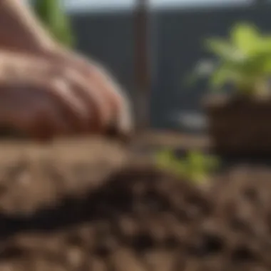 A close-up of healthy soil being tested