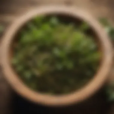 Culinary Appeal of Nettle Sprouts Nettle sprouts displayed in a rustic wooden bowl showcasing their culinary appeal