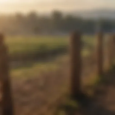 A selection of leading stock fencing suppliers at an agricultural trade show