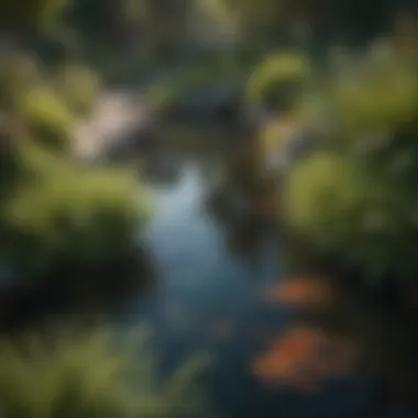 A serene fish pond with crystal clear water and vibrant aquatic plants