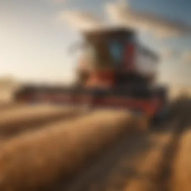 Modern wheat harvesting machinery in action