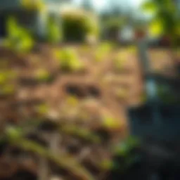 A well-prepared garden bed with freshly removed sod