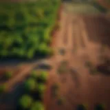 Aerial view of contaminated farmland