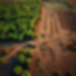 Aerial view of contaminated farmland