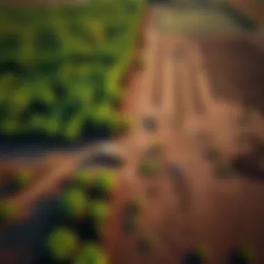 Aerial view of contaminated farmland