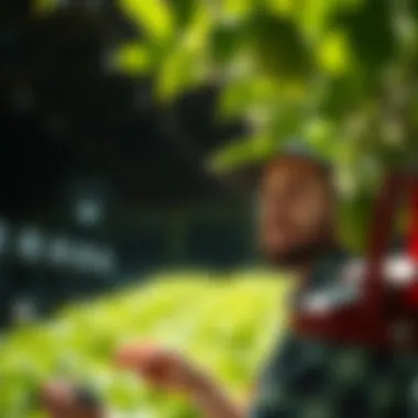 Illustration of technology integration in agricultural supply chains