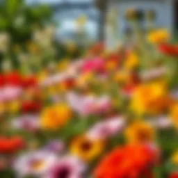 A vibrant arrangement of summer flowers in full bloom