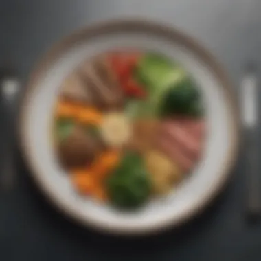 Art of Meal Balance for Optimal Health Visual representation of balanced meals on a plate