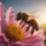 A close-up view of a bee pollinating a vibrant flower