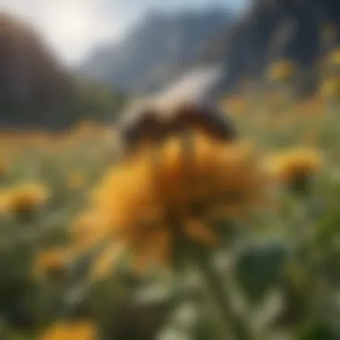 An educational infographic on the ecological benefits of bee pollination