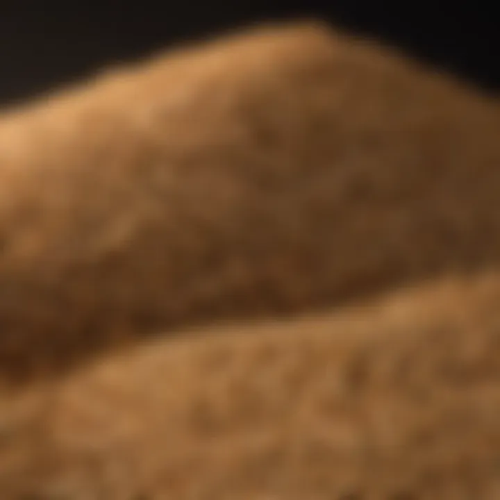 Infographic detailing factors influencing soybean prices