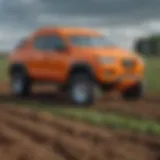 Innovative applications of polyethylene tarps in agriculture