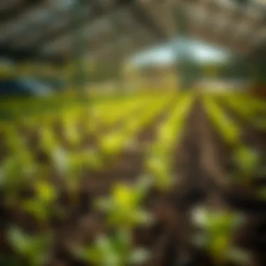 Sustainable soil management practices with stainless filter screens