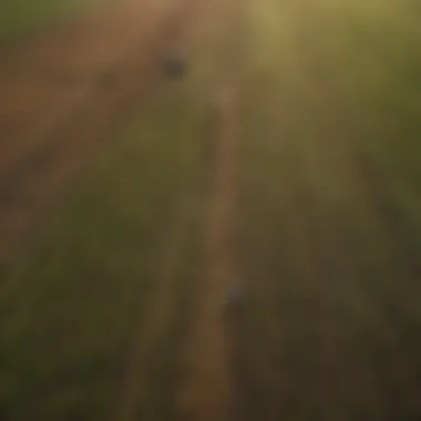 Aerial view of irrigated farmland showcasing diverse crops