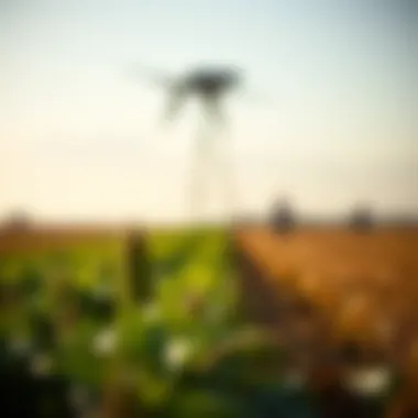 Triclosan in Agricultural Practices Agricultural settings outlining the use of triclosan in crop protection