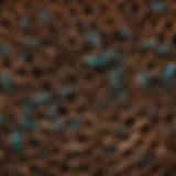 Different types of tubes used for mason bee houses