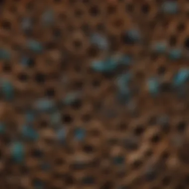 Different types of tubes used for mason bee houses