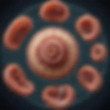 Life Cycle of Trypanosome Parasite Infographic depicting the life cycle of the trypanosome parasite.