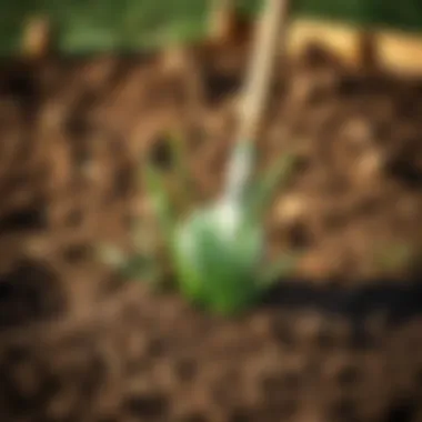 Soil Preparation for Bermuda Grass Soil preparation for Bermuda grass planting