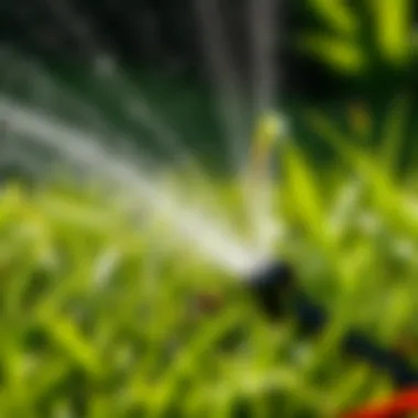 Effective Watering Techniques Watering techniques for Bermuda grass maintenance