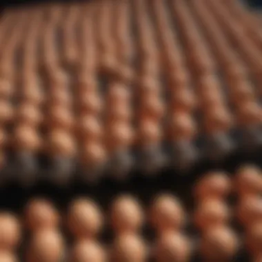 Sustainability Aspects of Cheap Egg Crates An infographic illustrating the sustainability of egg crates