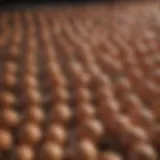 A variety of egg crates showcasing different materials