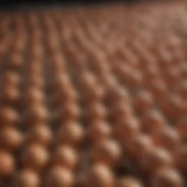 A variety of egg crates showcasing different materials