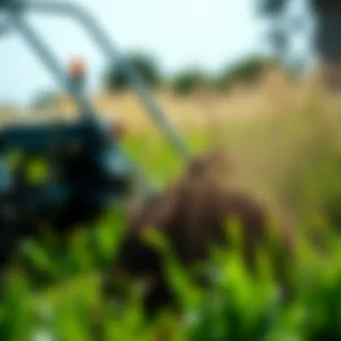 Notable Understanding Core Aerators: Enhancing Soil Health and Lawn Quality