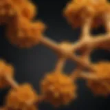 Chemical structure of curcumin highlighting its unique properties